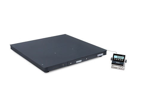 Weicomp PRO > Bilancia da pavimento con visore Inox